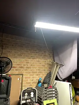 HTXBELLE online show from February 13, 2026, 10:15 am