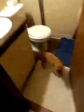 Snapshot of taterae chatting on October 19, 2025, 5:21 am taterae online show from October 19, 2025, 5:21 am