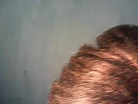 perfectionist online show from March 8, 2025, 9:08 pm