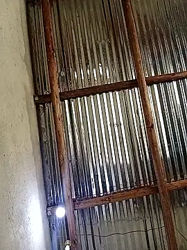 lilpip online show from October 18, 2025, 11:45 am