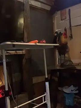 Polaroid White online show from March 6, 2025, 6:41 am