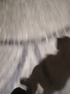 surfacespurt54 online show from March 17, 2025, 11:35 pm