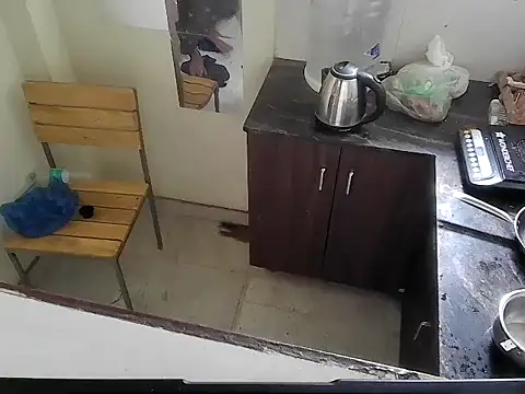 fitbuddy1 online show from March 1, 2026, 7:08 am