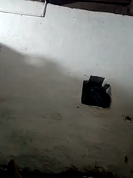 abbai dengutha online show from March 11, 2025, 7:47 pm