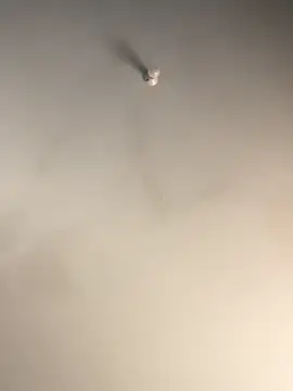 1Zoey101 online show from December 2, 2025, 7:32 am