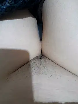 yakot7 online show from November 27, 2025, 11:49 pm