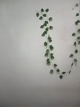 Neha-Bhabhi-Rasily online show from March 31, 2026, 3:58 pm