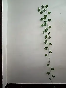 Neha-Bhabhi-Rasily online show from March 24, 2026, 3:50 am