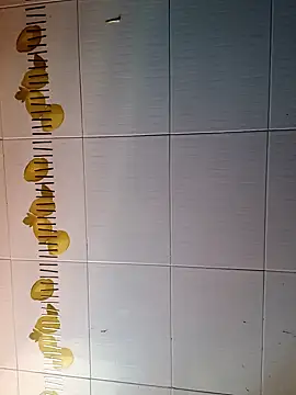 BellyDancer1 online show from October 16, 2025, 9:28 am