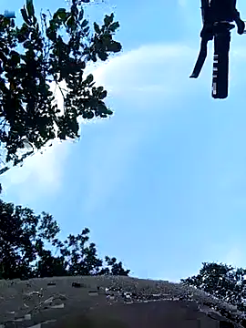 violeta delavega1 online show from November 14, 2025, 10:13 pm