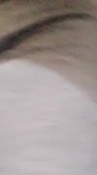 patrona sexooo online show from March 9, 2025, 8:42 pm