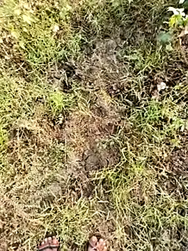 himvilohi08 online show from January 8, 2026, 4:07 am