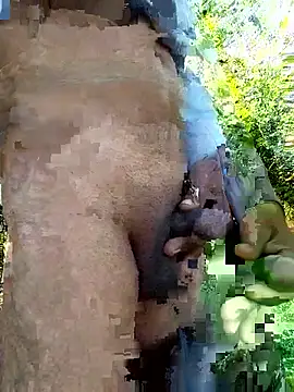 himvilohi08 online show from December 14, 2025, 5:24 am