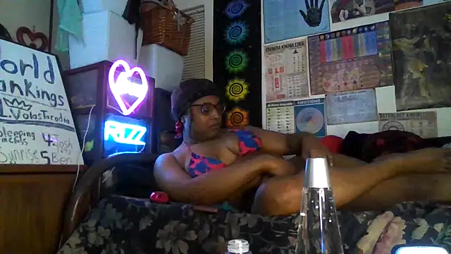 GardeniaFields online show from October 2, 2025, 8:50 am