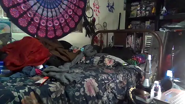 GardeniaFields online show from December 17, 2025, 4:50 am