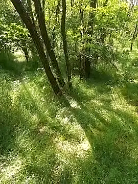 Snapshot of sile47 chatting on May 24, 2026, 12:16 pm sile47 online show from May 24, 2026, 12:16 pm