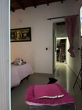 Paulet Johnson online show from January 18, 2026, 1:31 am