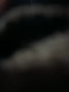 HARSHHU01 online show from March 17, 2025, 3:07 pm