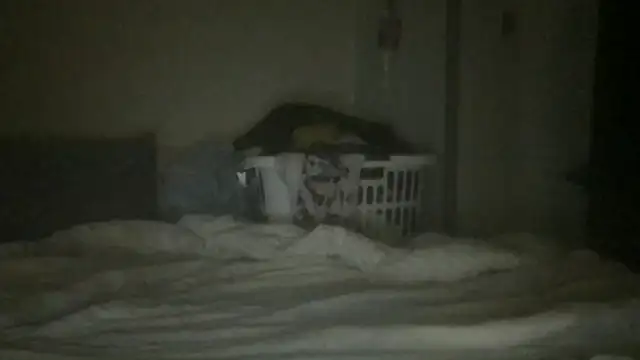 Snapshot of twink69Finger chatting on December 21, 2025, 3:14 pm twink69Finger online show from December 21, 2025, 3:14 pm