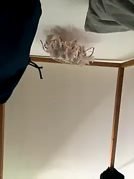 Hugo34bg online show from October 6, 2025, 1:01 pm