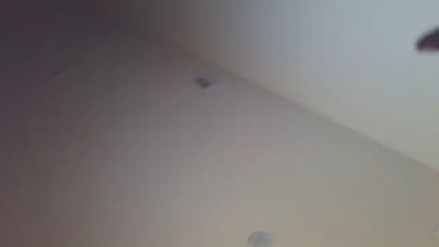 shurthingx online show from April 14, 2026, 4:17 am