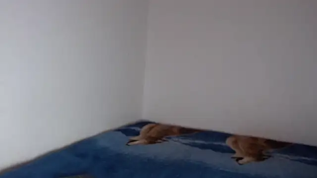 sharon sexy  online show from November 23, 2025, 8:41 pm