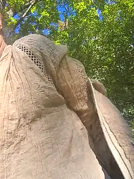 Brilliant-Splashes online show from September 22, 2025, 8:53 am