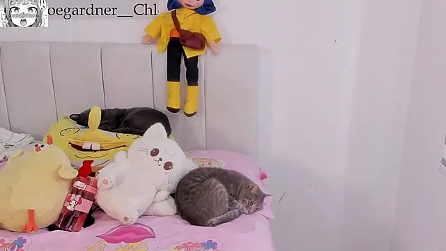 chloee gardner online show from October 22, 2025, 7:46 pm