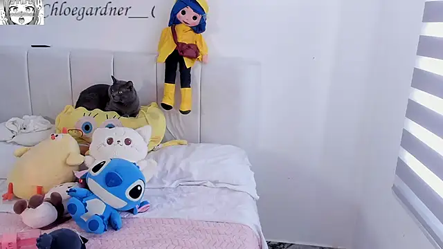 chloee gardner online show from September 10, 2025, 8:19 pm