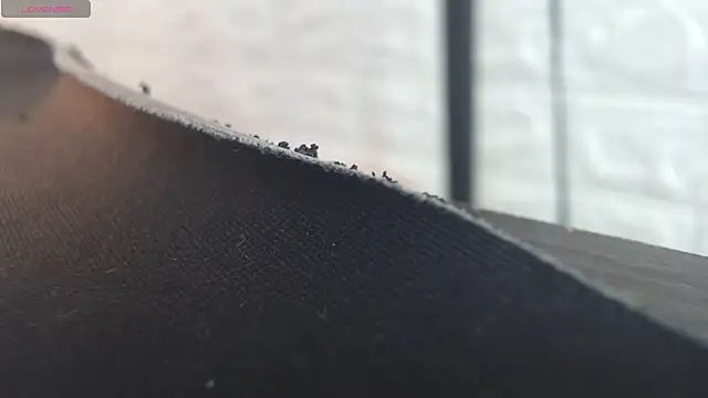 nei girl online show from November 30, 2025, 11:55 am