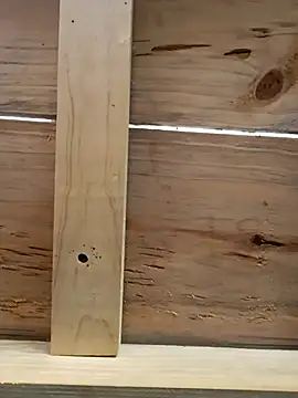 elnegro707070 online show from October 16, 2025, 11:51 am