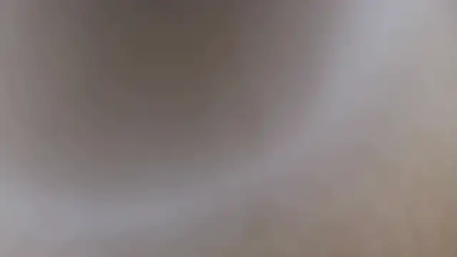 Naturfreund1965 online show from February 9, 2026, 3:32 pm