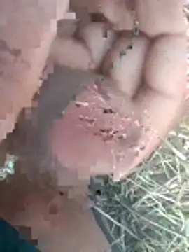 perplexedsoul online show from December 1, 2025, 9:21 am