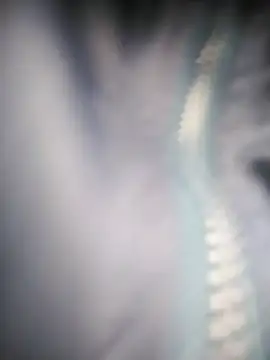 EbonyHorrny online show from September 17, 2025, 12:07 pm