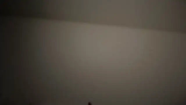 refem9 online show from April 25, 2026, 9:23 pm