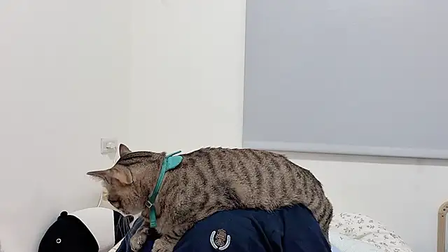 LHeart online show from April 5, 2026, 2:24 pm