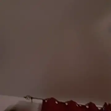 Snapshot of David1982qq chatting on March 3, 2026, 9:16 am David1982qq online show from March 3, 2026, 9:16 am