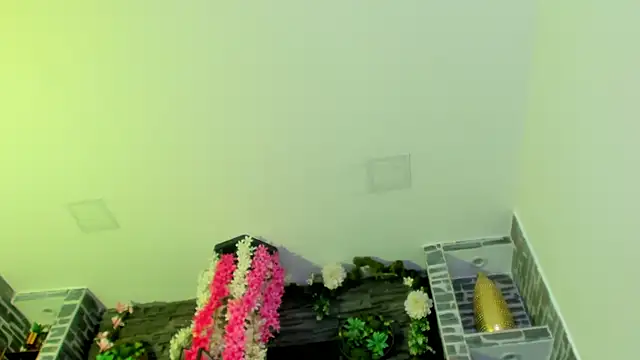 Sebax Young online show from April 16, 2026, 8:15 am