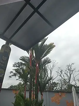 Snapshot of Yessica_Lopezz chatting on March 5, 2026, 11:29 am Yessica Lopezz online show from March 5, 2026, 11:29 am