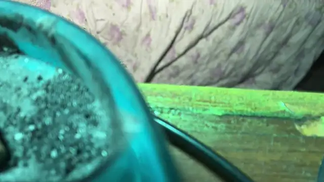 HodgeVibes online show from April 21, 2026, 11:50 am