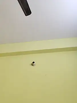 radhika2 online show from November 17, 2025, 8:02 pm