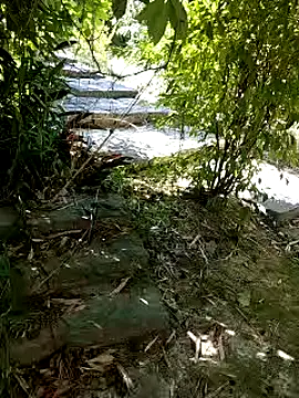 zack23088 online show from October 4, 2025, 12:45 am