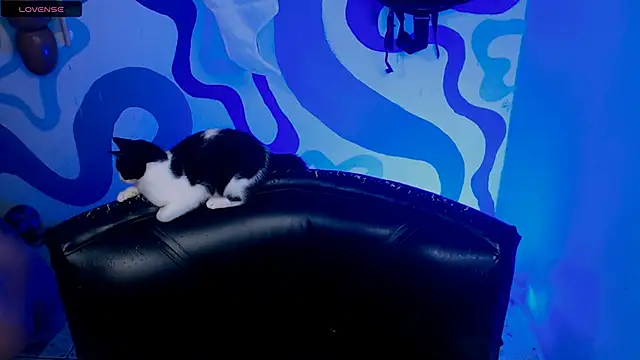 IrisSmil3 online show from October 21, 2025, 2:38 pm