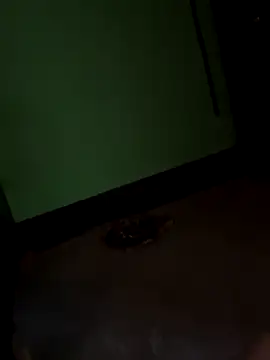 SEXY-SIMI-BHABI online show from September 26, 2025, 7:15 am