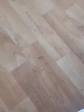 jhoi95 online show from October 20, 2025, 10:32 pm