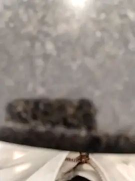 LeoMaduroSP online show from September 17, 2025, 2:08 pm