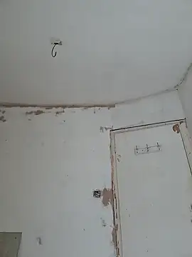 kisspussy1993 online show from February 21, 2026, 3:36 pm