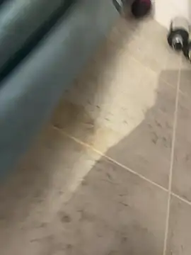 BobKat online show from January 15, 2026, 9:12 am