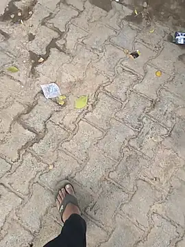 mysticeyes backup online show from November 30, 2025, 11:33 am