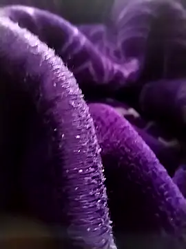 saneer69tew online show from April 13, 2026, 6:28 am